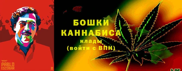 прущие грибы Зерноград