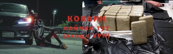 гидра Зеленодольск