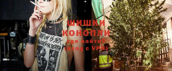 прущие грибы Зерноград
