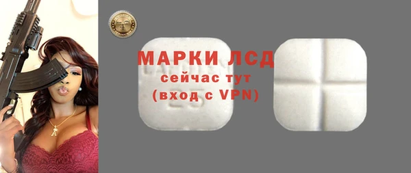 прущие грибы Зерноград