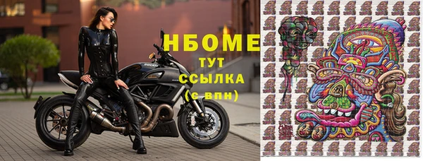 прущие грибы Зерноград