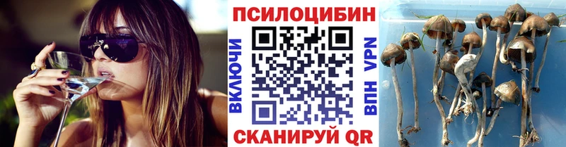 Купить  Калач-на-Дону  Псилоцибиновые грибы MAGIC MUSHROOMS 